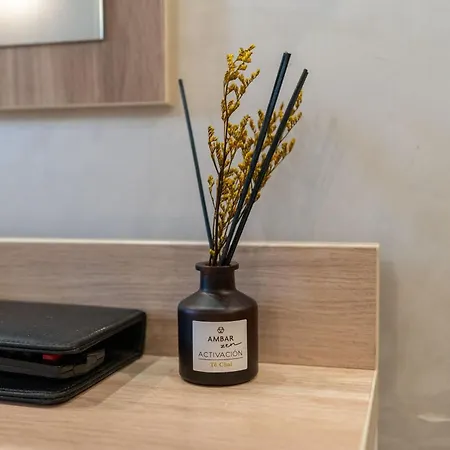 بيت ضيافة Leone D'oro - Close To Piazza Vittorio 4*